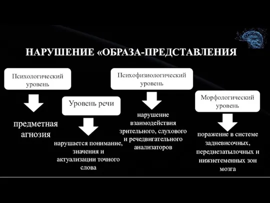 НАРУШЕНИЕ «ОБРАЗА-ПРЕДСТАВЛЕНИЯ» Психологический уровень Уровень речи Психофизиологический уровень Морфологический уровень предметная агнозия