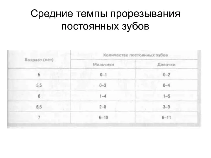 Средние темпы прорезывания постоянных зубов