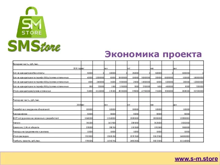 Экономика проекта www.s-m.store