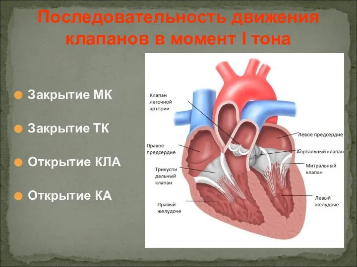 Закрытие МК Закрытие ТК Открытие КЛА Открытие КА Последовательность движения клапанов в момент I тона