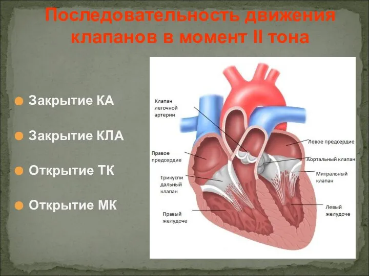 Закрытие КА Закрытие КЛА Открытие ТК Открытие МК Последовательность движения клапанов в момент II тона