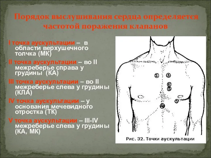 I точка аускультации – в области верхушечного толчка (МК) II точка аускультации