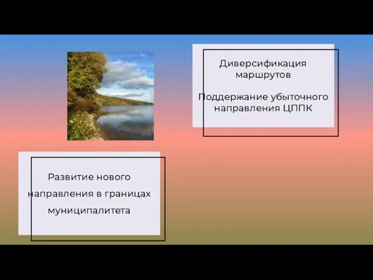 Развитие нового направления в границах муниципалитета Диверсификация маршрутов Поддержание убыточного направления ЦППК