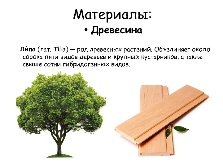 Материалы: Древесина Ли́па (лат. Tília) — род древесных растений. Объединяет около сорока