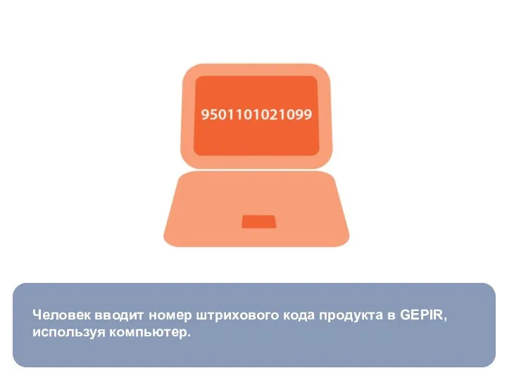 Человек вводит номер штрихового кода продукта в GEPIR, используя компьютер.