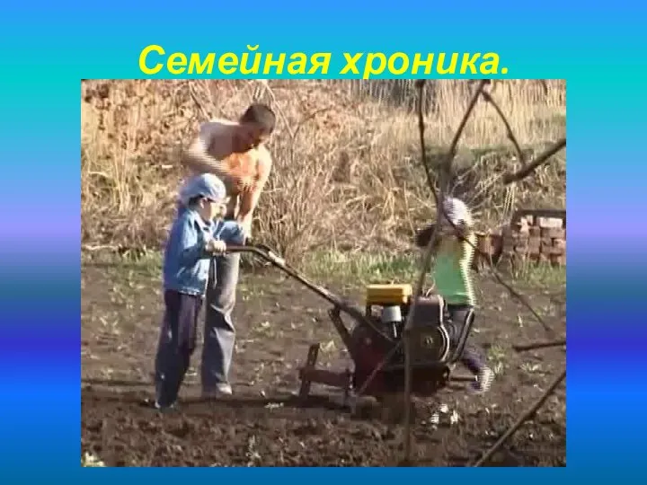 Семейная хроника.