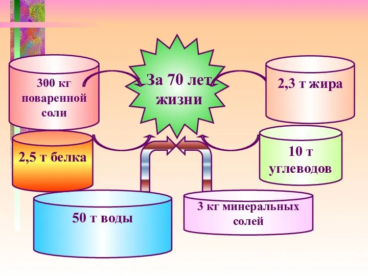 300 кг поваренной соли 2,3 т жира 10 т углеводов 50 т