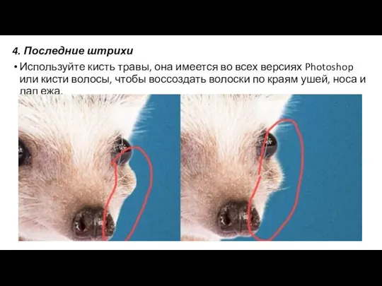 4. Последние штрихи Используйте кисть травы, она имеется во всех версиях Photoshop