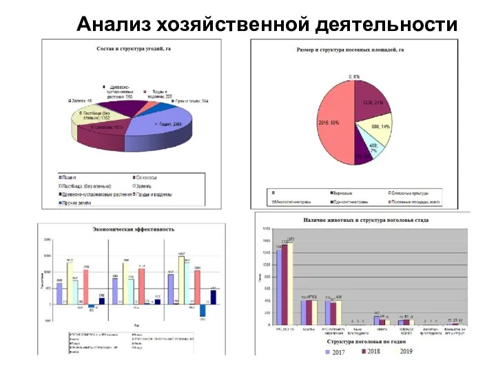 Анализ хозяйственной деятельности