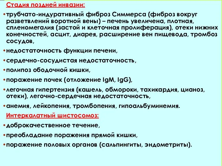 Стадия поздней инвазии: трубчато-индуративный фиброз Симмерса (фиброз вокруг разветвлений воротной вены) –