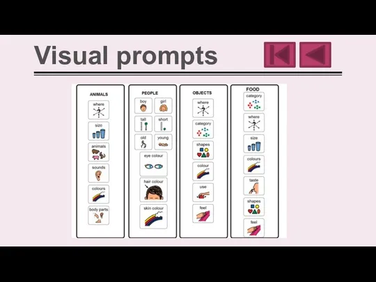 Visual prompts
