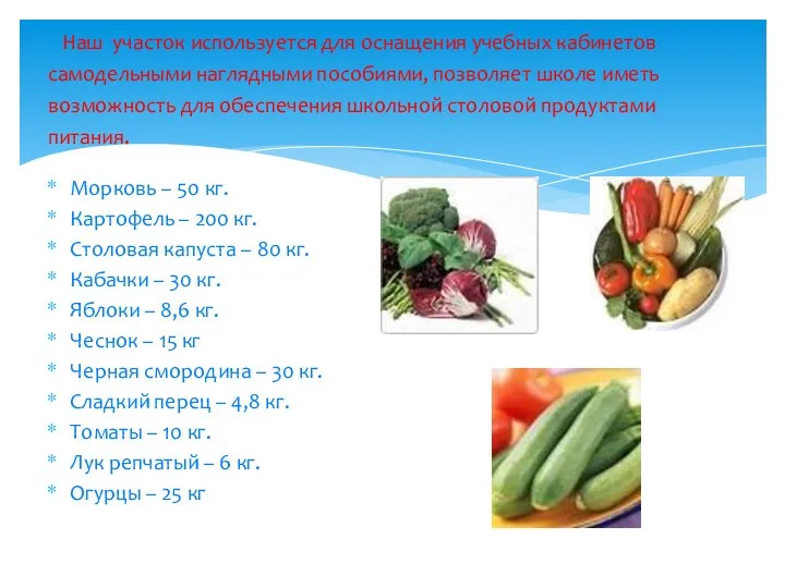 Морковь – 50 кг. Картофель – 200 кг. Столовая капуста – 80