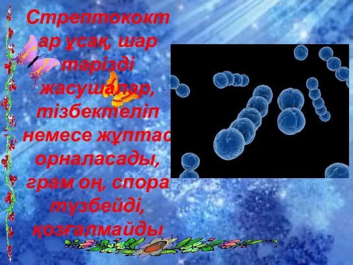 Стрептококтар ұсақ, шар тәрізді жасушалар, тізбектеліп немесе жұптас орналасады, грам оң, спора түзбейді, қозғалмайды