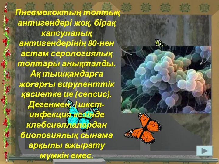 Пневмококтың топтық антигендері жоқ, бірақ капсулалық антигендерінің 80-нен астам серологиялық топтары анықталды.