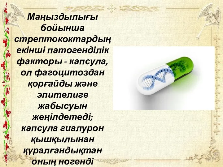 Маңыздылығы бойынша стрептококтардың екінші патогенділік факторы - капсула, ол фагоцитоздан қорғайды және