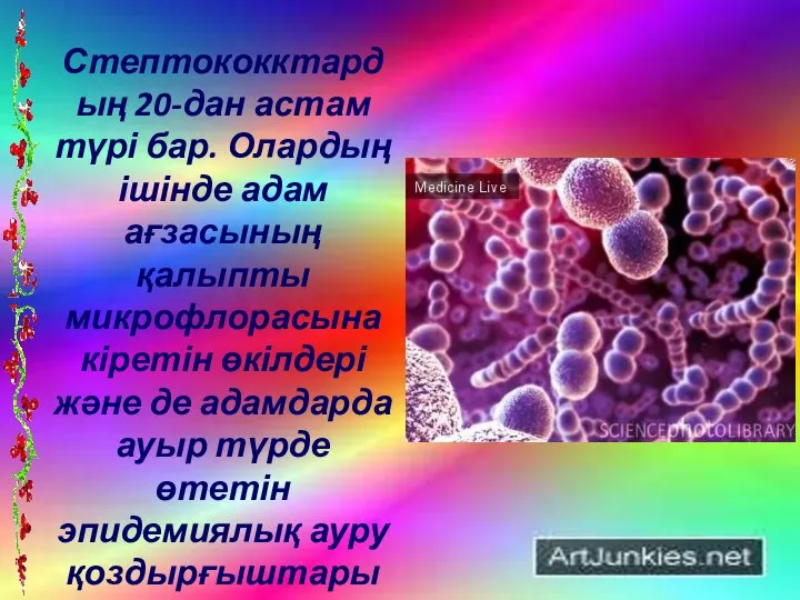 Стептококктардың 20-дан астам түрі бар. Олардың ішінде адам ағзасының қалыпты микрофлорасына кіретін