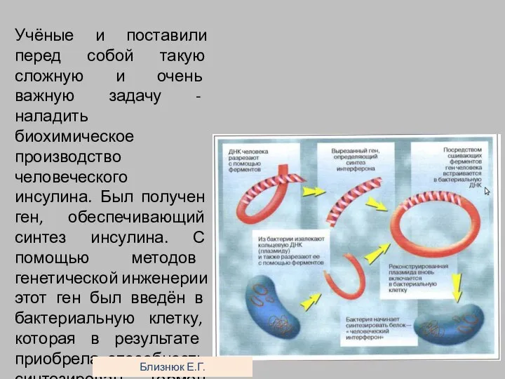 Учёные и поставили перед собой такую сложную и очень важную задачу -