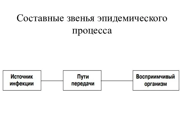 Составные звенья эпидемического процесса