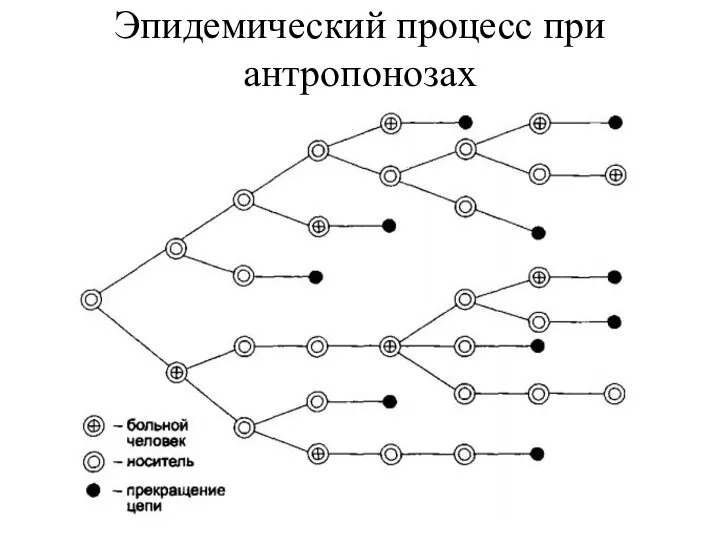 Эпидемический процесс при антропонозах