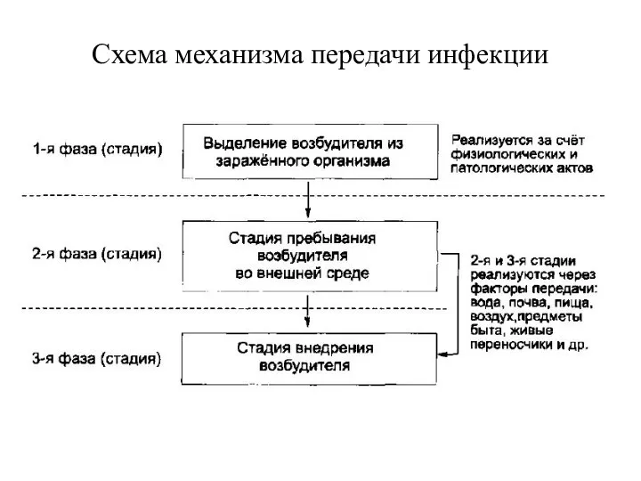 Схема механизма передачи инфекции