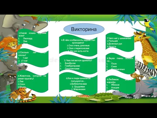 Викторина 1.Какая кошка крупнее всех? Леопард Лев Тигр 2.Сколько лет живут слоны?