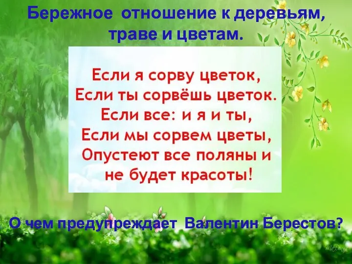 Бережное отношение к деревьям, траве и цветам. О чем предупреждает Валентин Берестов?