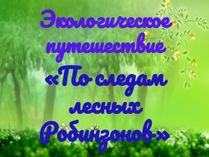 Экологическое путешествие «По следам лесных Робинзонов»