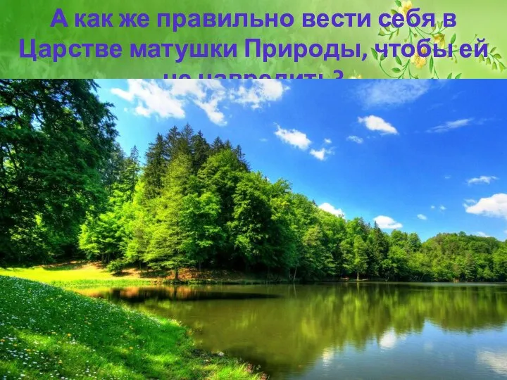 А как же правильно вести себя в Царстве матушки Природы, чтобы ей не навредить?