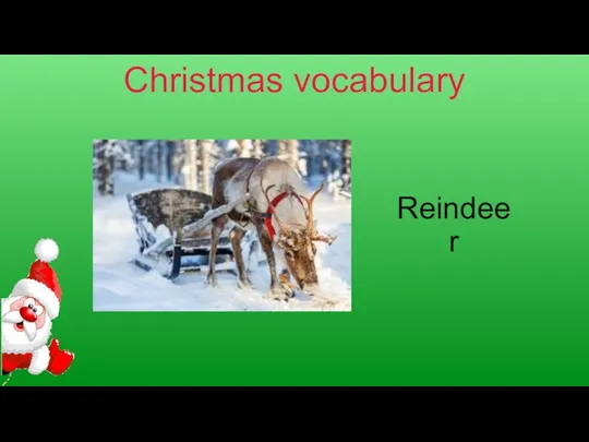 Christmas vocabulary Reindeer