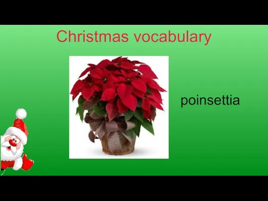 Christmas vocabulary poinsettia