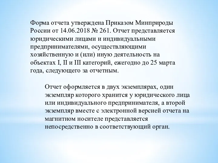 Отчет оформляется в двух экземплярах, один экземпляр которого хранится у юридического лица