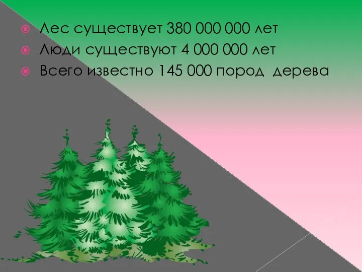 Лес существует 380 000 000 лет Люди существуют 4 000 000 лет