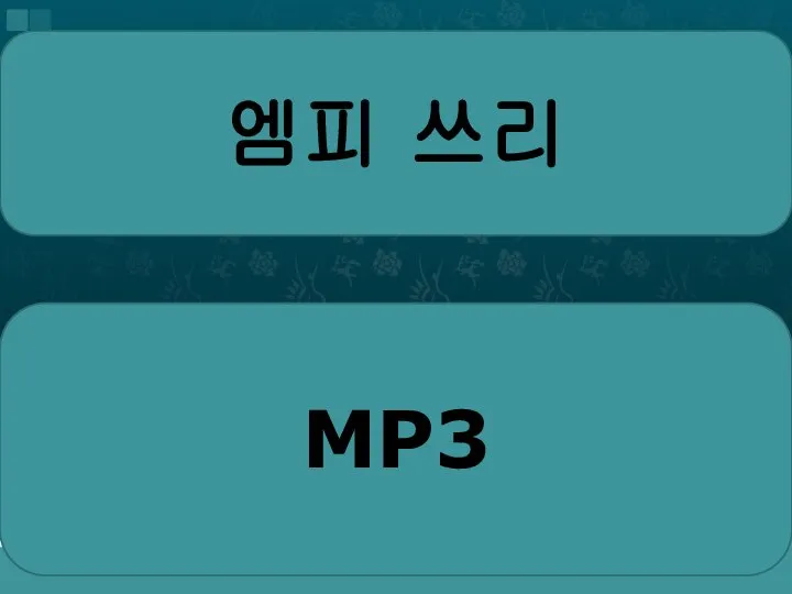 엠피 쓰리 MP3