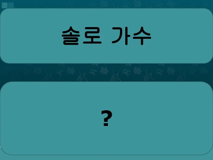 솔로 가수 ?