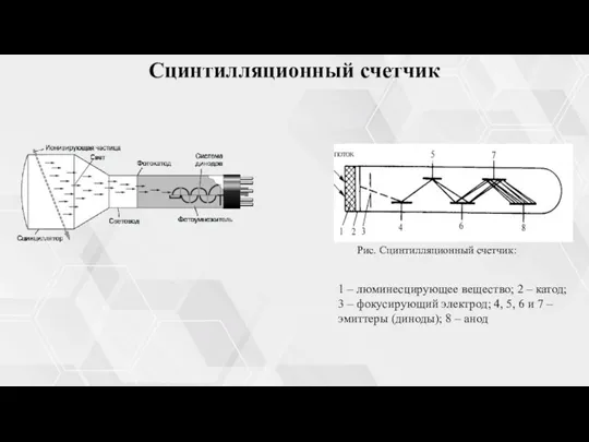 Сцинтилляционный счетчик Рис. Сцинтилляционный счетчик: 1 – люминесцирующее вещество; 2 – катод;