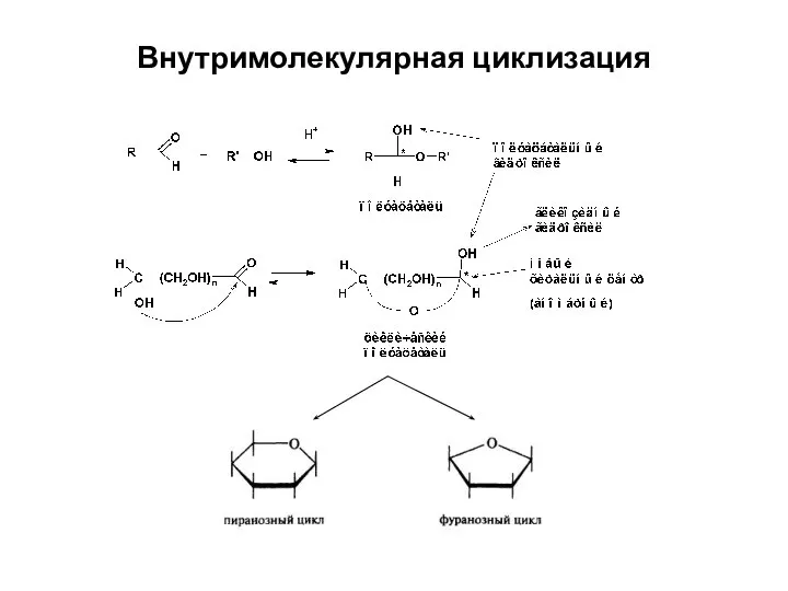 Внутримолекулярная циклизация