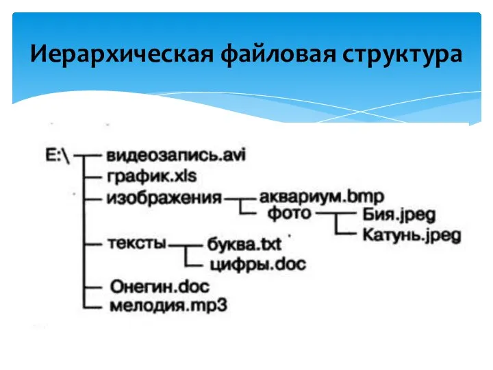 Иерархическая файловая структура