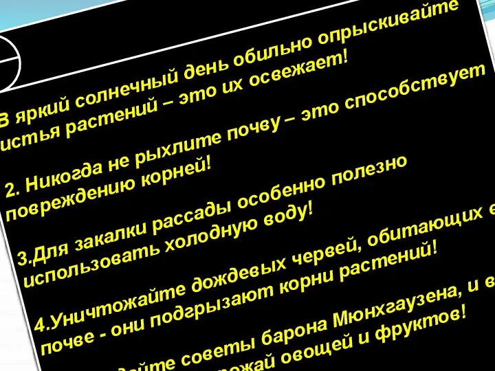 1. В яркий солнечный день обильно опрыскивайте листья растений – это их