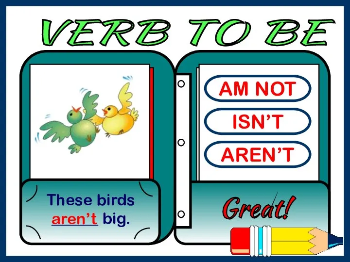 AM NOT ISN’T AREN’T These birds ______ big. Great! aren’t VERB TO BE