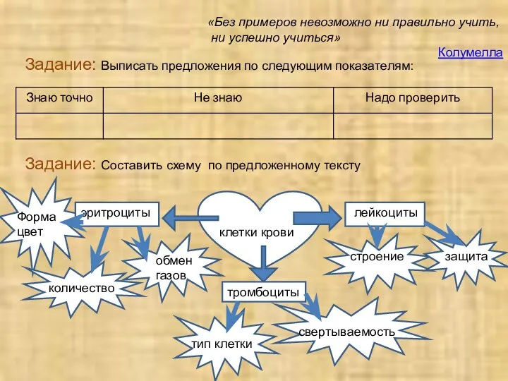 Задание: Выписать предложения по следующим показателям: «Без примеров невозможно ни правильно учить,