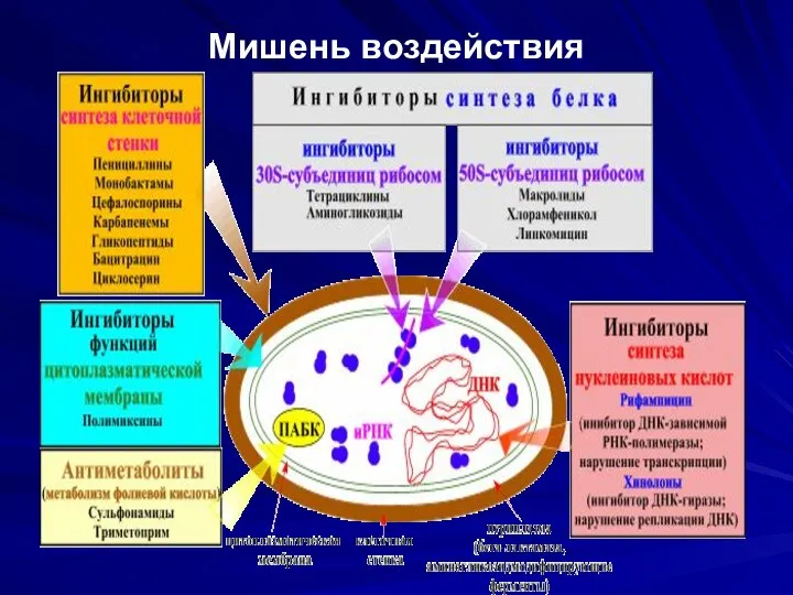 Мишень воздействия