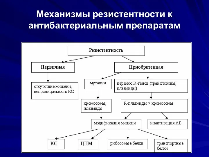 Механизмы резистентности к антибактериальным препаратам