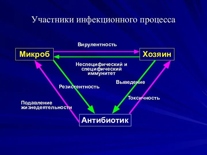 Участники инфекционного процесса Микроб Хозяин Антибиотик Вирулентность Неспецифический и специфический иммунитет Резистентность Подавление жизнедеятельности Токсичность Выведение