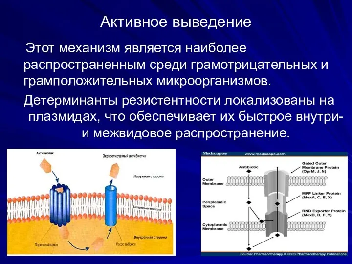 Активное выведение Этот механизм является наиболее распространенным среди грамотрицательных и грамположительных микроорганизмов.