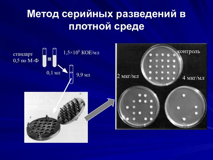 Метод серийных разведений в плотной среде 1,5×108 КОЕ/мл стандарт 0,5 по М-Ф 9,9 мл 0,1 мл