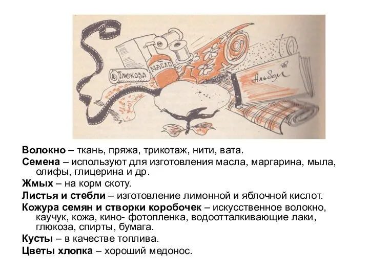 Волокно – ткань, пряжа, трикотаж, нити, вата. Семена – используют для изготовления