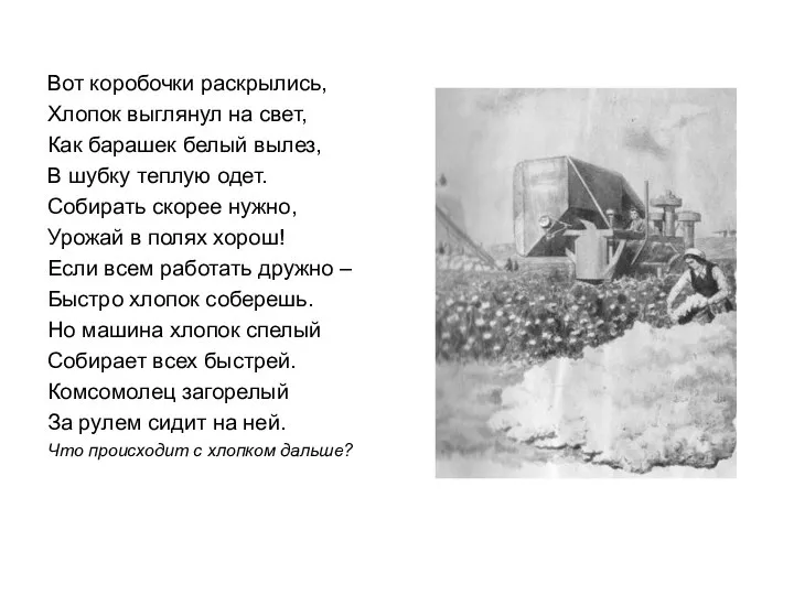 Вот коробочки раскрылись, Хлопок выглянул на свет, Как барашек белый вылез, В