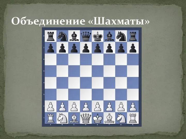 Объединение «Шахматы»