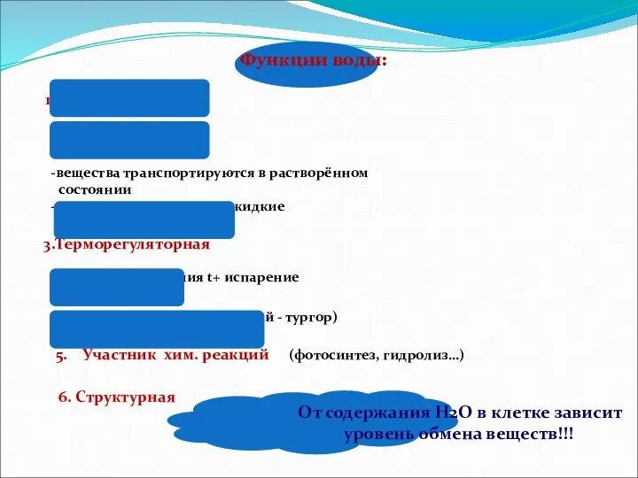 Функции воды: Растворитель 2. Транспортная вещества транспортируются в растворённом состоянии все транспортные