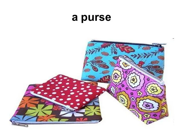 a purse